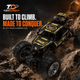 Extreme RC Off-Road Rock Crawler